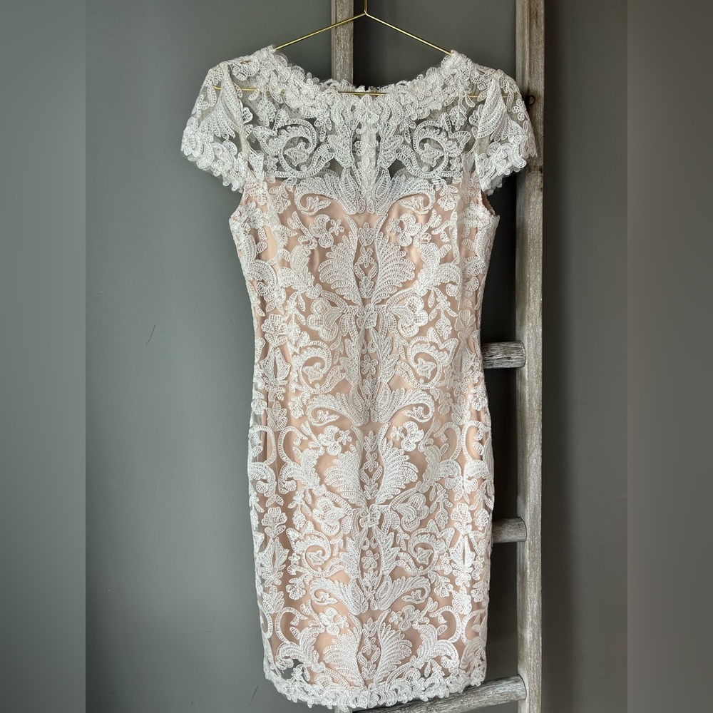 Tadashi Shoji Blush and White Lace Corded Dress